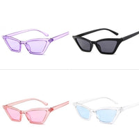 Catty Babe Sunglasses Collection