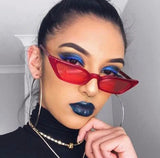 Catty Babe Sunglasses Collection