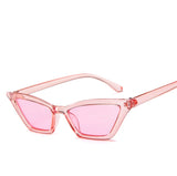 Catty Babe Sunglasses Collection